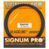 Signum Pro Hyperion -Best Tennis Equip Store SIGPHYP12M 2T