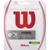 Wilson Synthetic Gut Power -Best Tennis Equip Store WILSYNGTP12M 2T